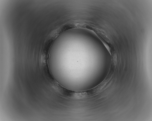 X0000113020571200909031234