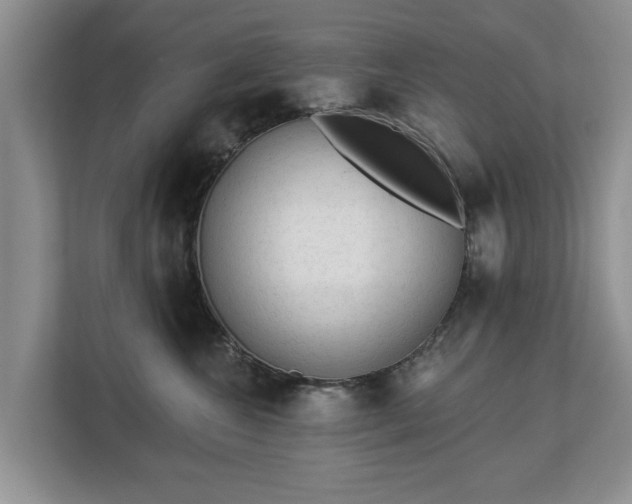 X0000113020572200909031234