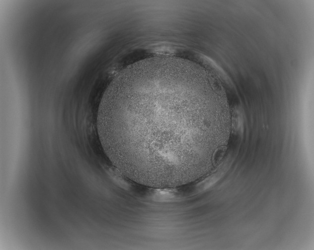 X0000113020573200909031234