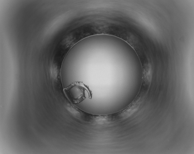 X0000113020574200909031234