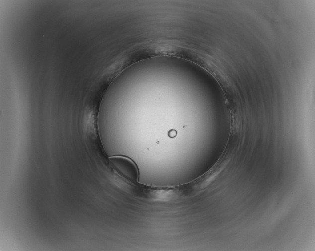 X0000113020575200909031234
