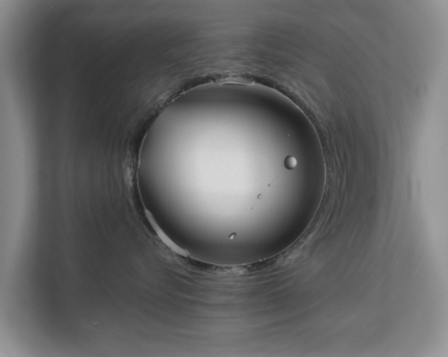 X0000113020576200909031234