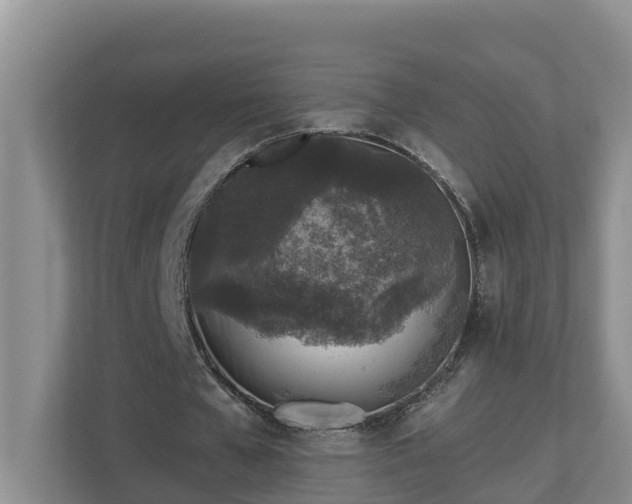 X0000113020577200909031233