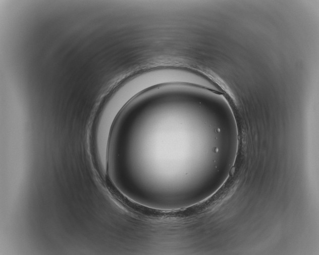 X0000113020581200909031233