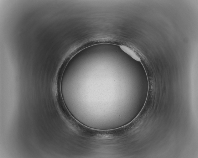X0000113020582200909031233