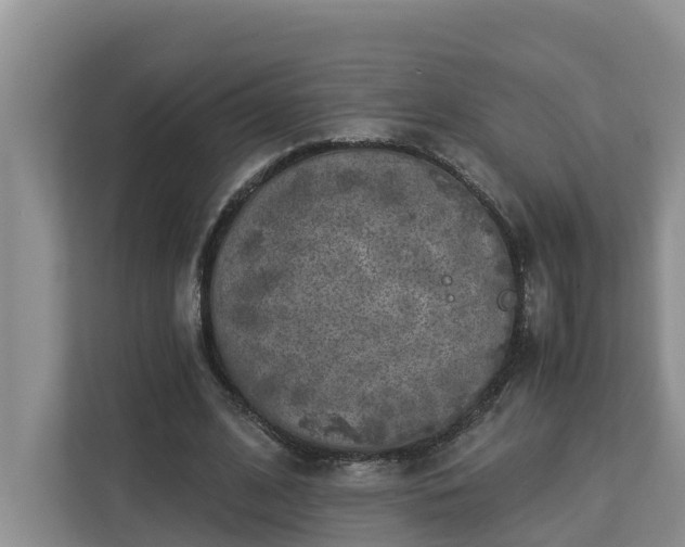 X0000113020584200909031233
