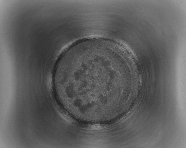 X0000113020588200909031233