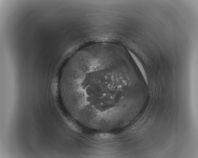 X0000113020590200909031233