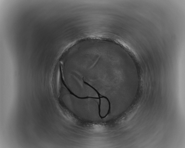 X0000113020592200909031233