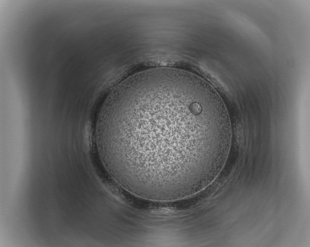X0000113020594200909031233