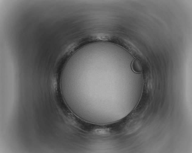 X0000113020595200909031233