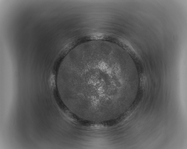 X0000113020598200909031233