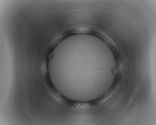 X0000113020599200909031233