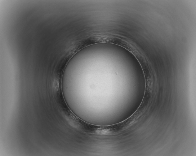 X0000113020602200909031233
