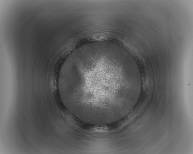 X0000113020606200909031233