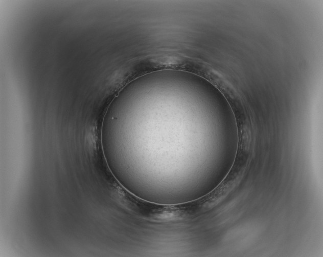 X0000113020612200909031233