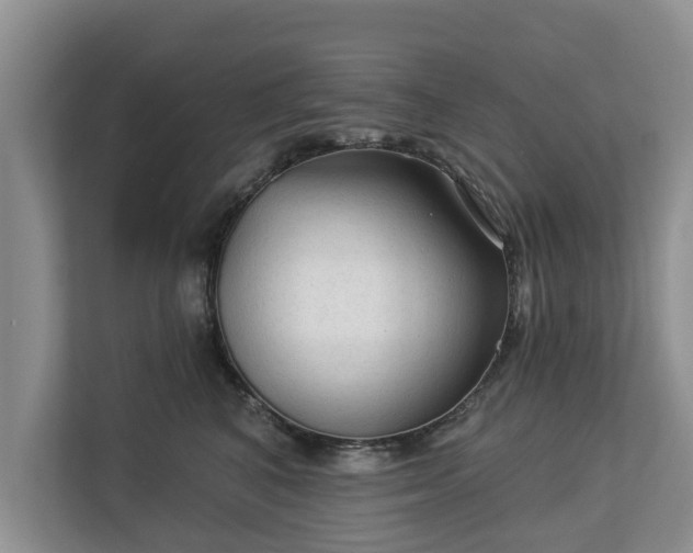 X0000113020616200909031233