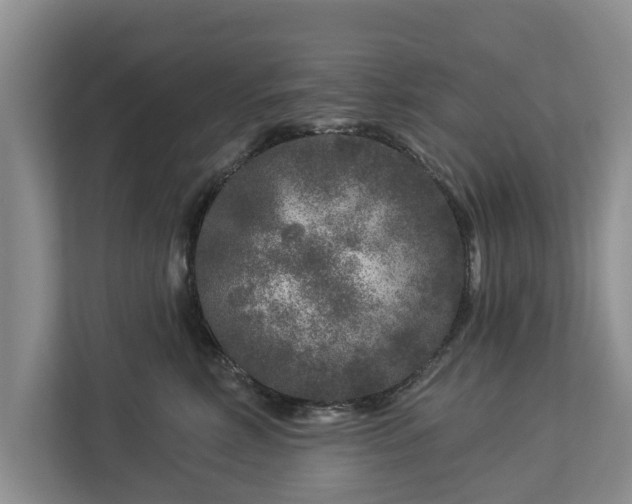 X0000113020618200909031233