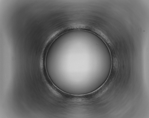 X0000113020629200909031232
