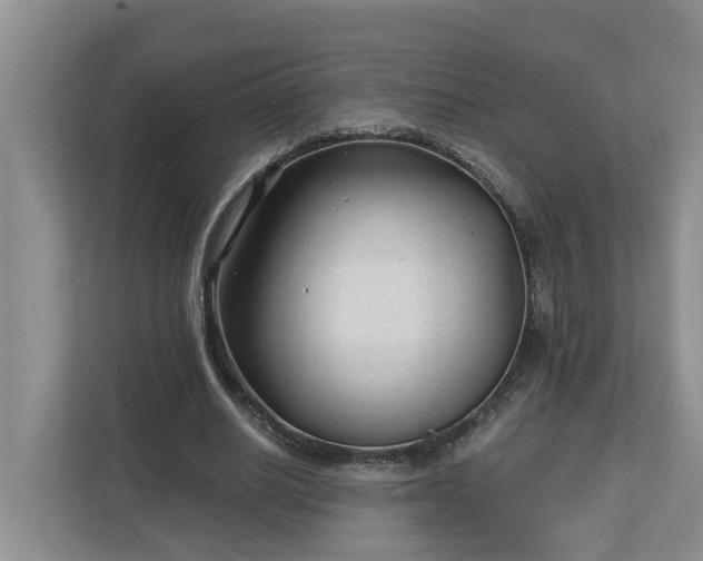 X0000113020630200909031232