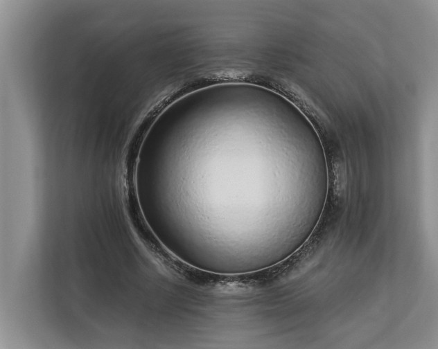 X0000113020634200909031232