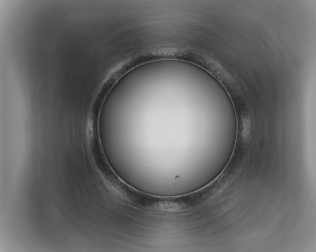 X0000113020636200909031232