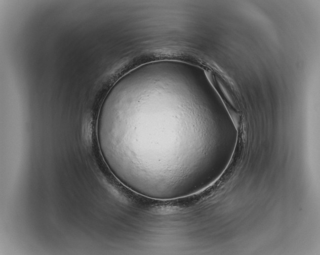 X0000113020637200909031232
