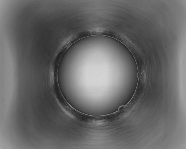 X0000113020638200909031232