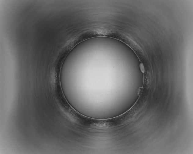 X0000113020639200909031232