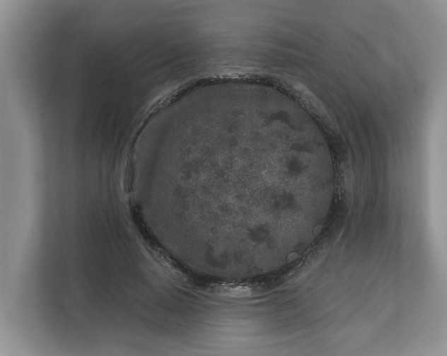 X0000113020640200909031232