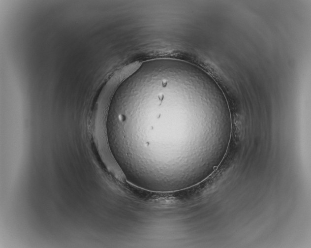 X0000113020642200909031232