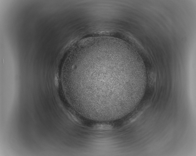 X0000113020644200909031232