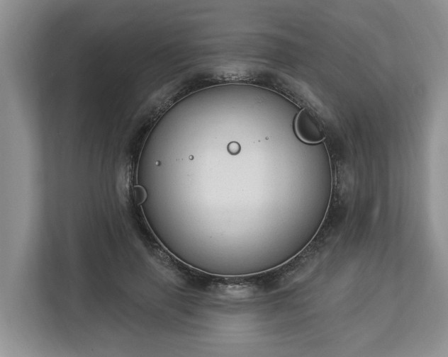 X0000113020645200909031232
