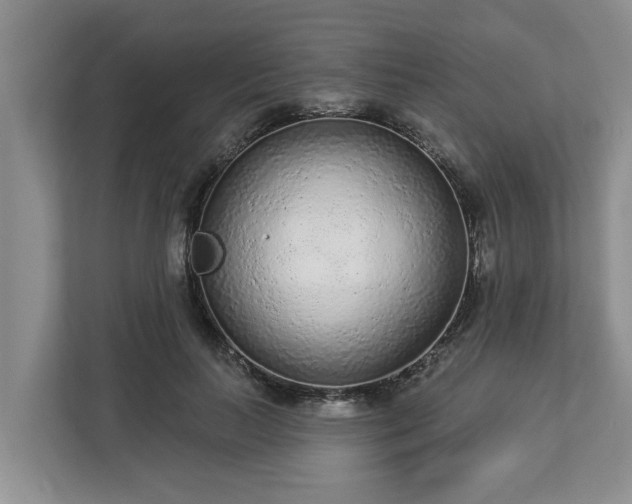 X0000113020647200909031232