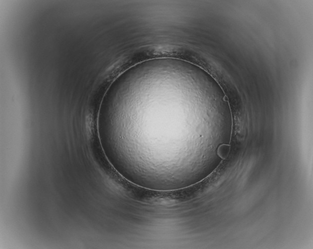 X0000113020648200909031232