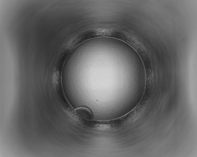 X0000113020649200909031232