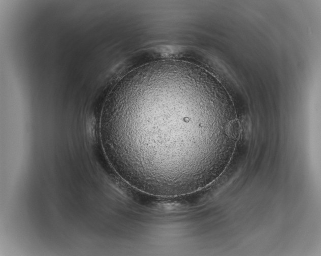 X0000113020650200909031232
