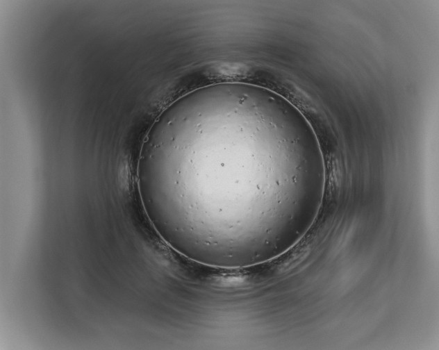 X0000113020651200909031232