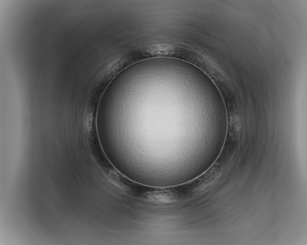 X0000113020652200909031232