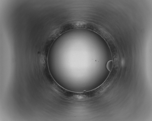 X0000113020654200909031232