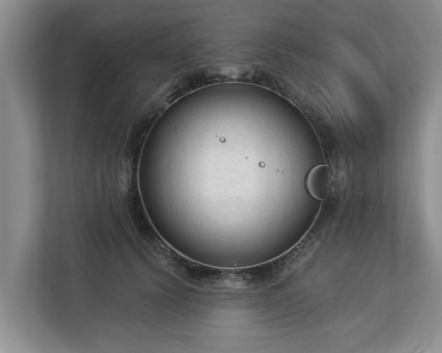 X0000113020656200909031232