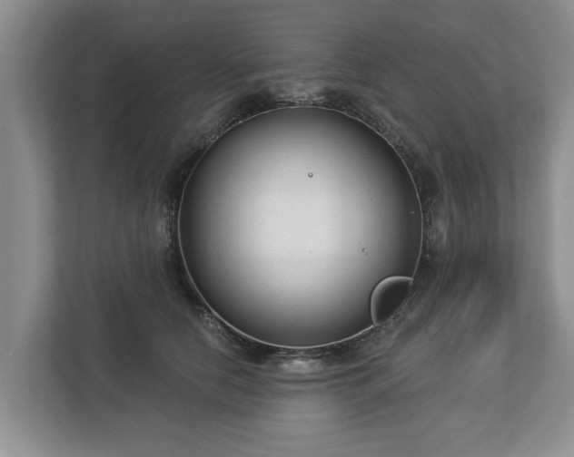 X0000113020658200909031232