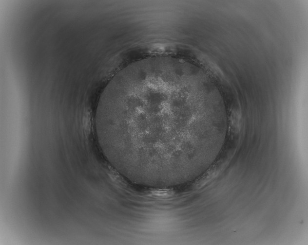 X0000113020659200909031232