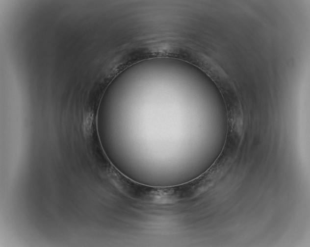 X0000113020660200909031232