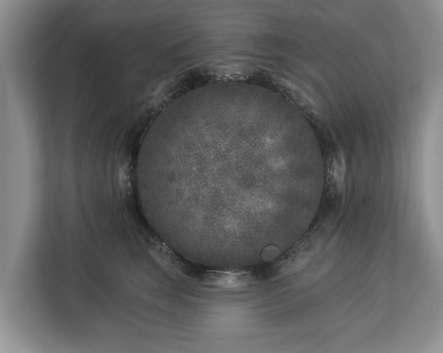X0000113020663200909031232
