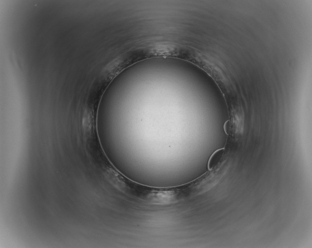 X0000113020665200909031233