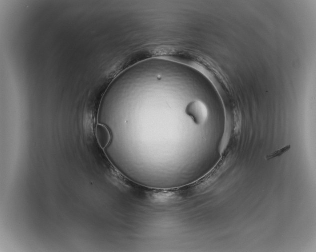 X0000113020669200909031233