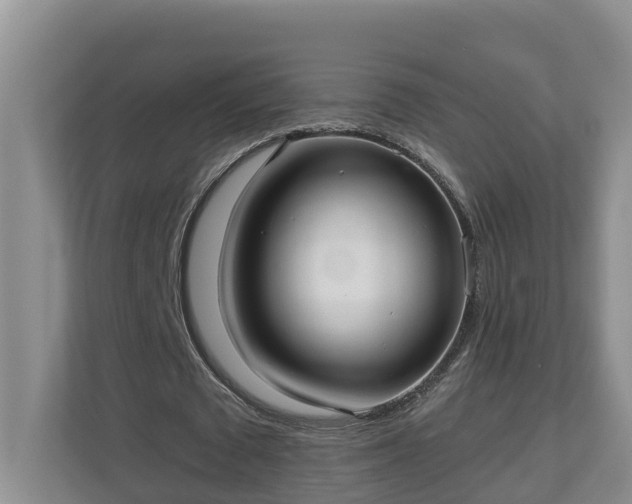 X0000113020673200909031232