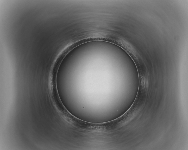 X0000113020676200909031232
