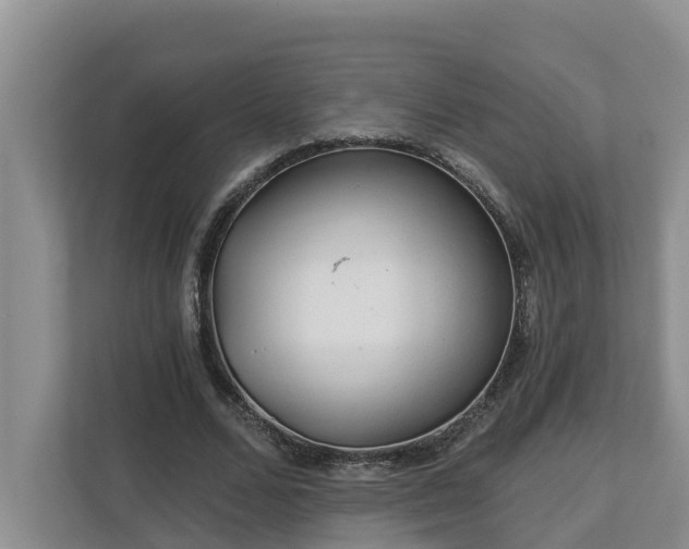 X0000113020680200909031232